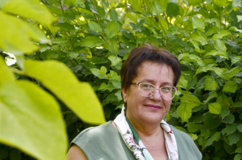 Անտառի մեղավոր անցյալը